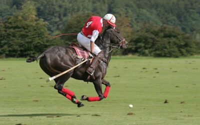 The Proper Use of the Whip in Polo