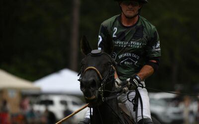THE INVISIBLE LANGUAGE WITH THE POLO HORSE